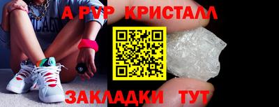 прущие грибы Камень-на-Оби