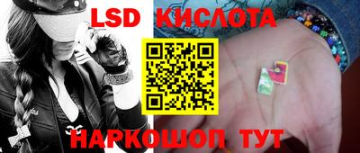 прущие грибы Камень-на-Оби