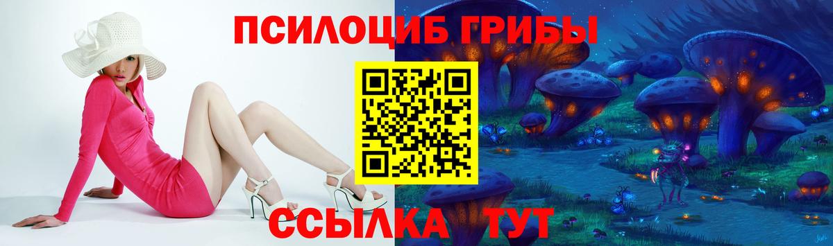 Псилоцибиновые грибы Psilocybe  закладки  Симферополь  Вход с VPN 
